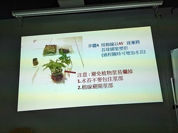 圖書館~療癒苔球手作