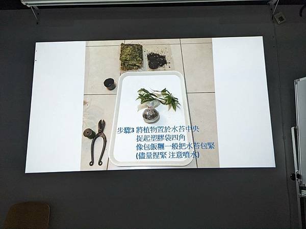 圖書館~療癒苔球手作