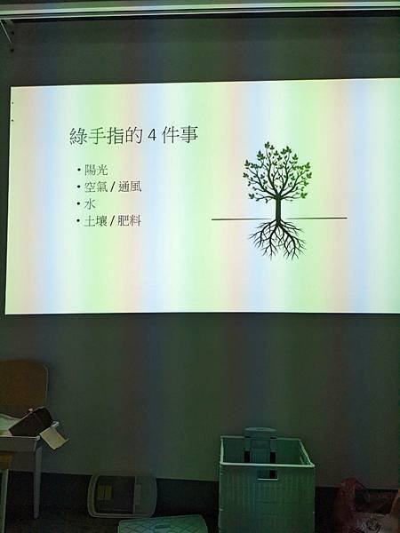 圖書館~療癒苔球手作