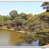 nEO_IMG_IMG_3219.jpg