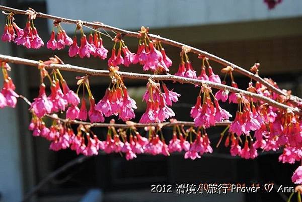 PhotoCap_144