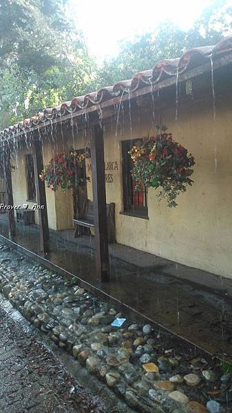 PhotoCap_019.jpg
