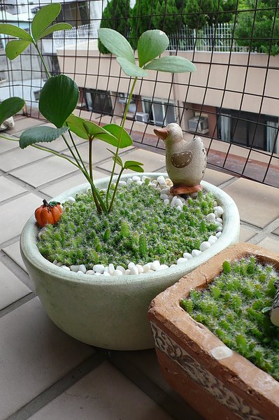 P1080441.JPG