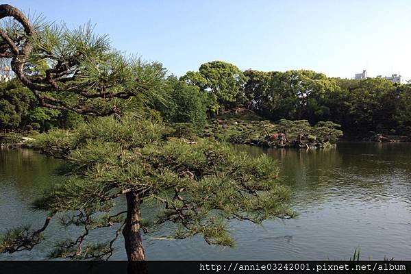 清澄庭園