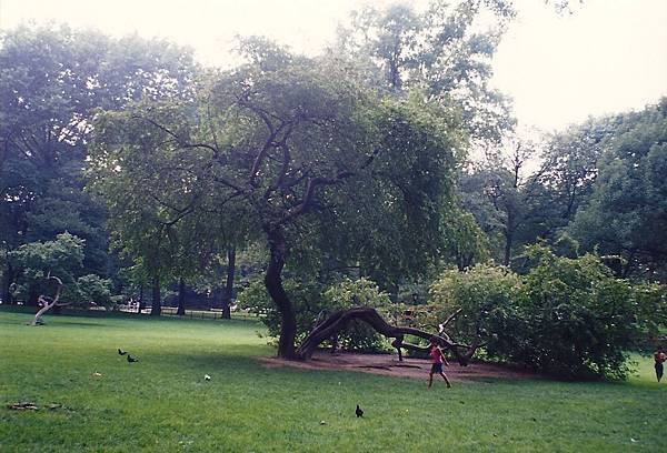 52紐約中央公園11.jpg