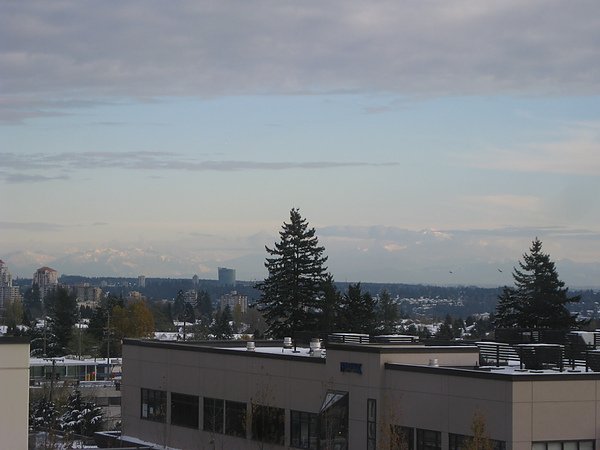 IMG_3619.JPG