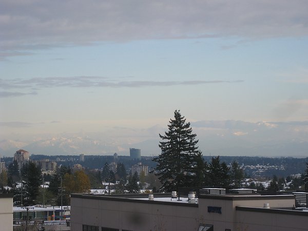IMG_3617.JPG
