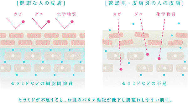 box2_fig01b