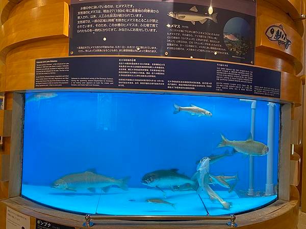 支芴湖-4.jpg