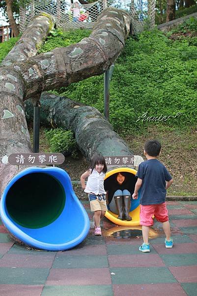 IMG_2635.JPG