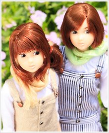 sp67_pic03s.jpg