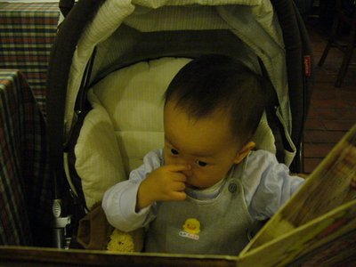 P1040651-1.jpg