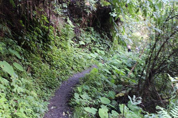 沙韻古道原始風貌