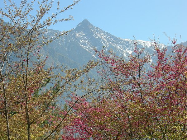 塔塔加鞍部登山活動 001.jpg