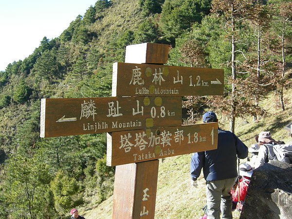 塔塔加鞍部登山活動 056.jpg