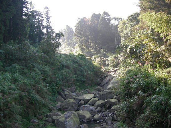 台美社登山隊溪頭天文臺登山記 006.jpg