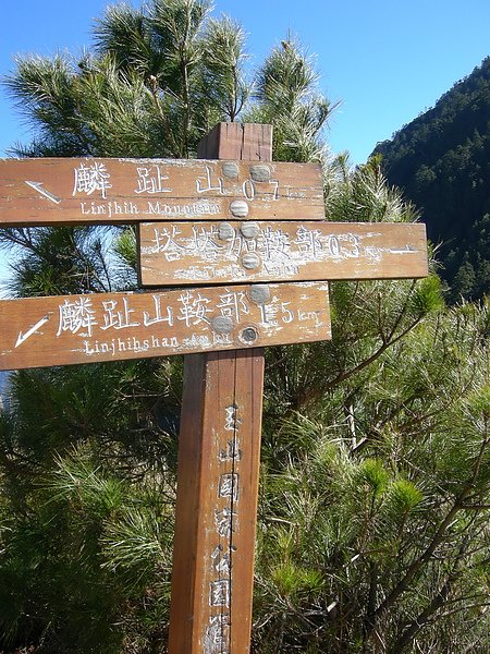 塔塔加鞍部登山活動 066.jpg