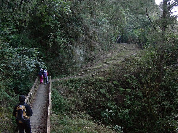 塔塔加鞍部登山活動 031.jpg