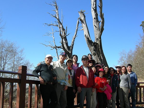 塔塔加鞍部登山活動 015.jpg