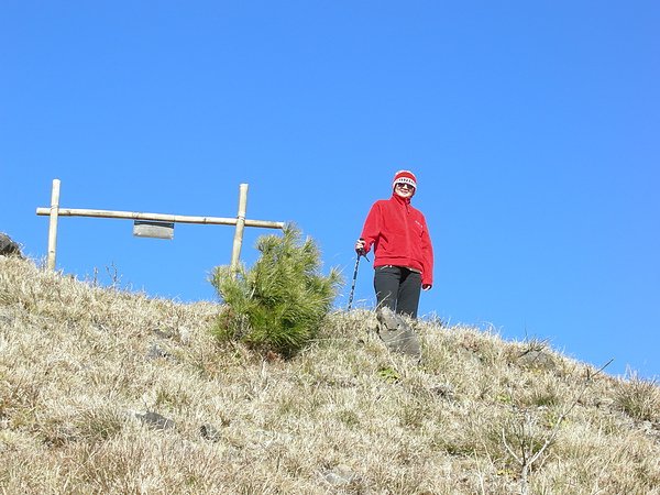 塔塔加鞍部登山活動 070.jpg