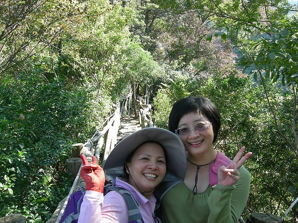 台美社登山隊大坑3號步道登山記 027.jpg