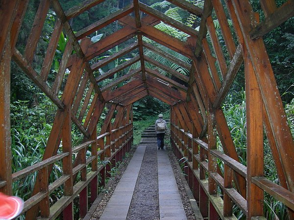 台美社登山隊溪頭天文臺登山記 013.jpg