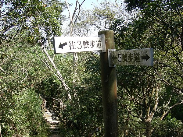 台美社登山隊大坑3號步道登山記 040.jpg