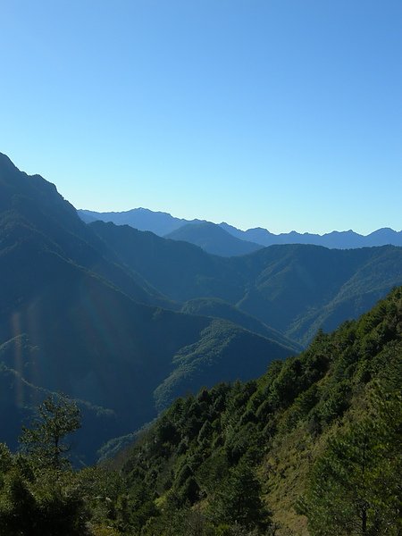 塔塔加鞍部登山活動 057.jpg