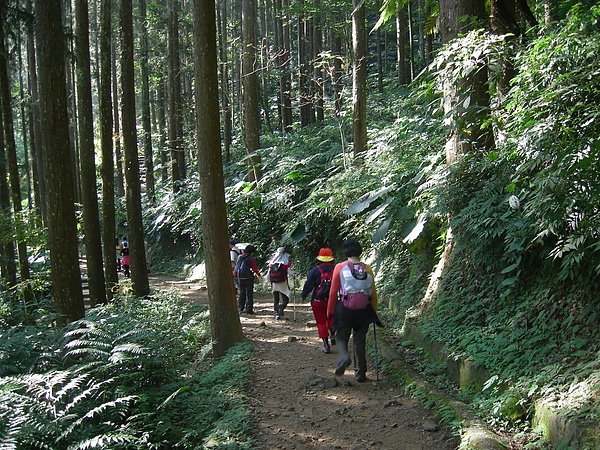 台美社登山隊溪頭天文臺登山記 018.jpg