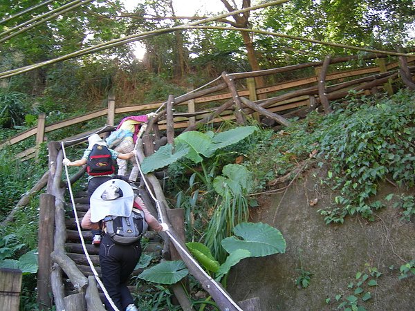 台美社登山隊大坑3號步道登山記 018.jpg