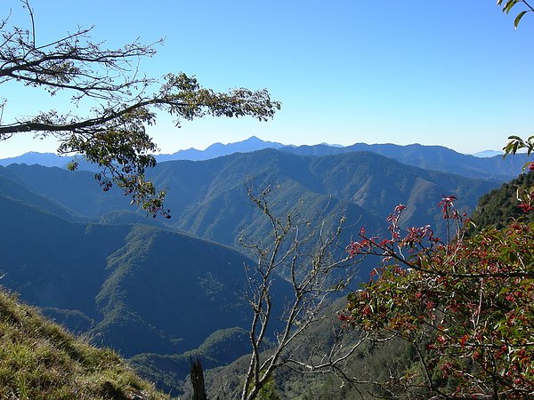 塔塔加鞍部登山活動 059.jpg