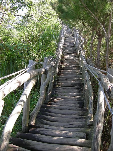 台美社登山隊大坑3號步道登山記 035.jpg