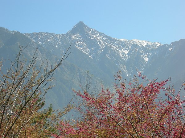 塔塔加鞍部登山活動 005.jpg