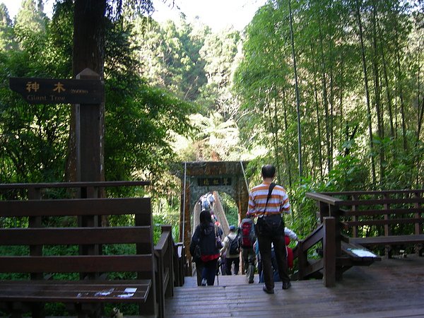 台美社登山隊溪頭天文臺登山記 001.jpg