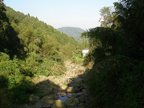 台美社登山隊溪頭天文臺登山記 005.jpg