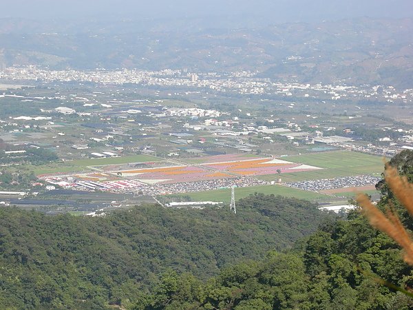 台美社登山隊大坑3號步道登山記 074.jpg