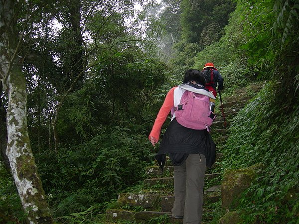 台美社登山隊溪頭天文臺登山記 033.jpg