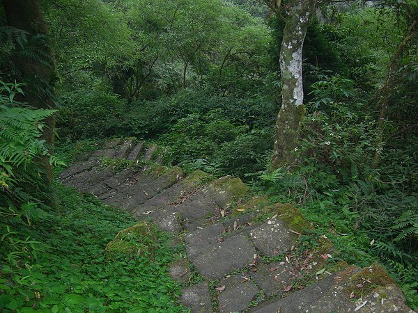 台美社登山隊溪頭天文臺登山記 034.jpg