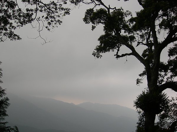 台美社登山隊溪頭天文臺登山記 031.jpg