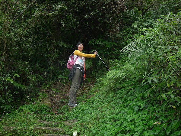 台美社登山隊溪頭天文臺登山記 035.jpg