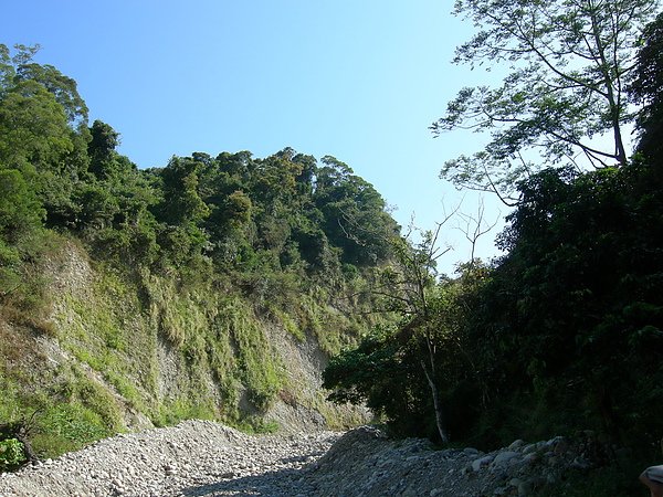 台美社登山隊大坑3號步道登山記 012.jpg