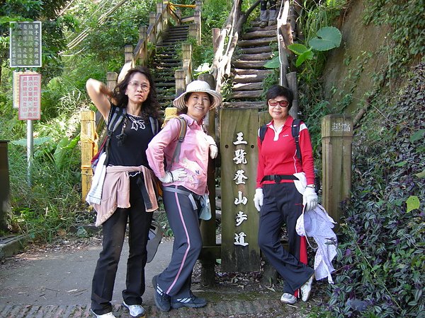 台美社登山隊大坑3號步道登山記 093.jpg