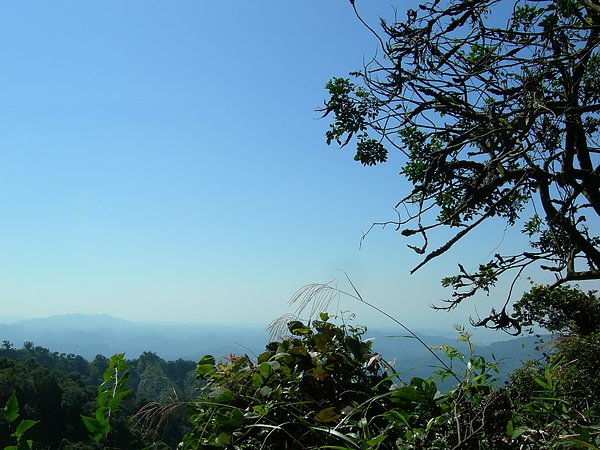 台美社登山隊大坑3號步道登山記 042.jpg