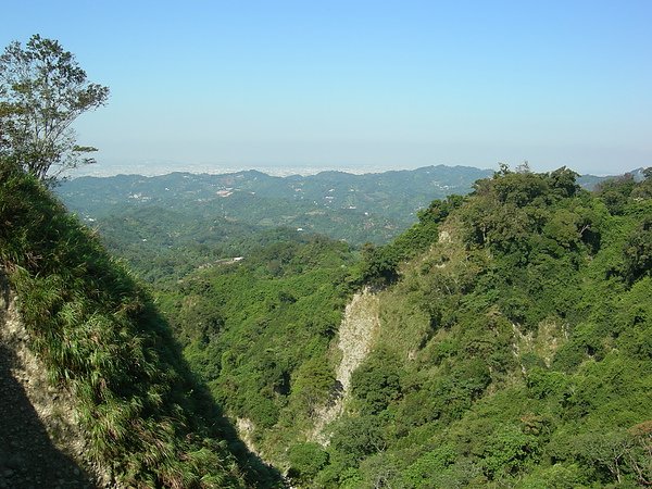 台美社登山隊大坑3號步道登山記 031.jpg