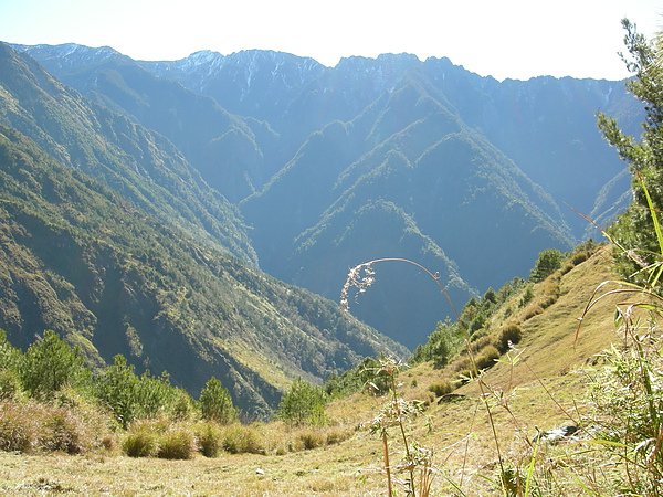 塔塔加鞍部登山活動 063.jpg