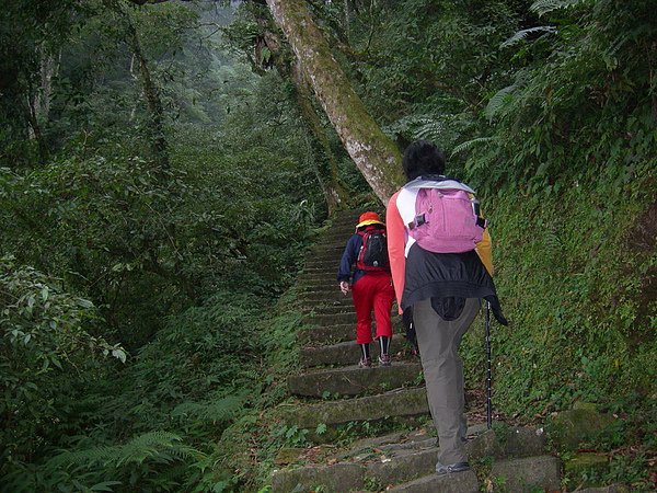 台美社登山隊溪頭天文臺登山記 030.jpg