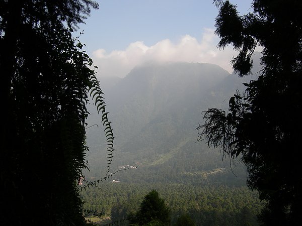 台美社登山隊溪頭天文臺登山記 021.jpg