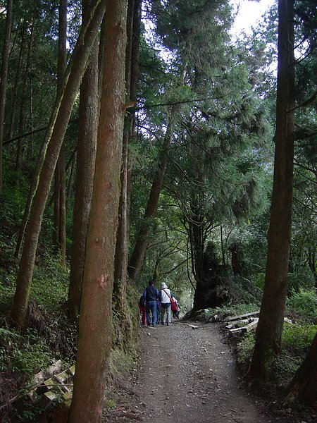 塔塔加鞍部登山活動 023.jpg