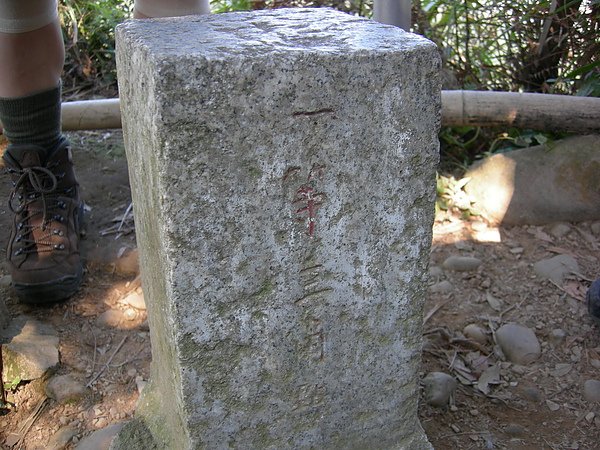 台美社登山隊大坑3號步道登山記 089.jpg