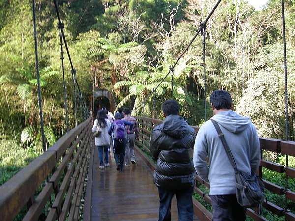 台美社登山隊溪頭天文臺登山記 003.jpg